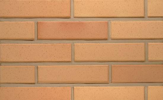 Кирпич облицовочный керамический пустотелый Terca Rosso, 250*85*65 мм